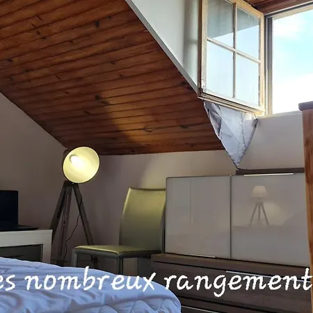 Le Cocon De La Republique T3 Mezzanine Belle Vue Plein Sud Sans Vis A Vis Dans Petite Tres Calme Centre *