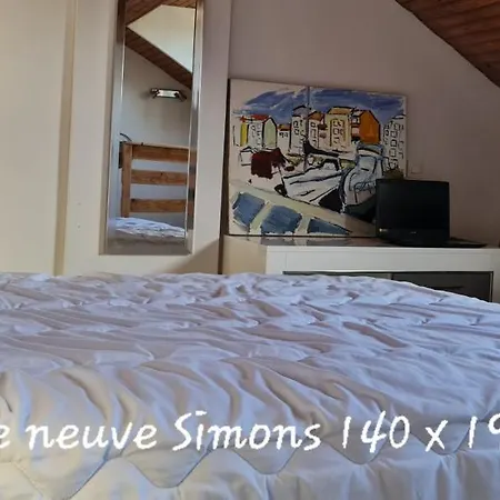 Le Cocon De La Republique T3 Mezzanine Belle Vue Plein Sud Sans Vis A Vis Dans Petite Tres Calme Centre